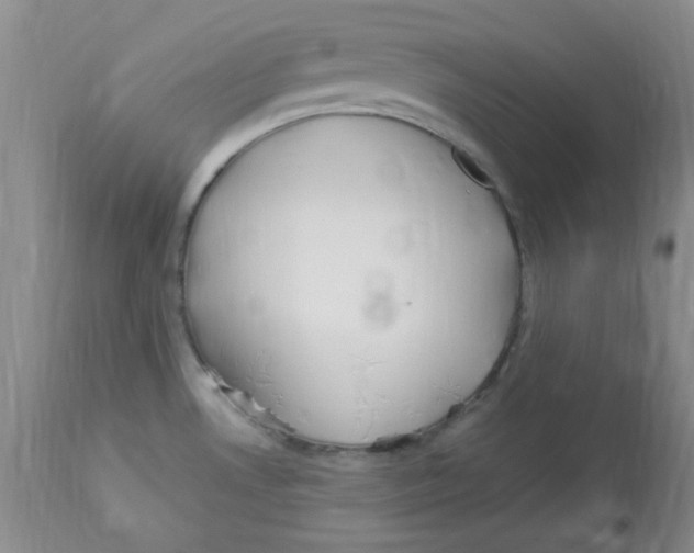 X0000113961530200910232018