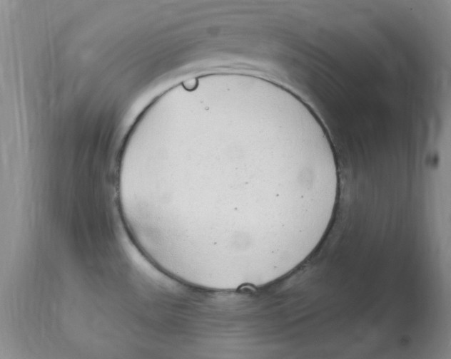 X0000113961531200910232018