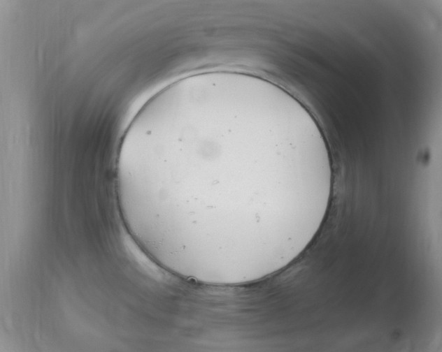 X0000113961532200910232018