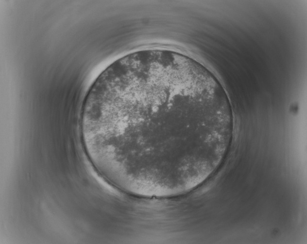 X0000113961533200910232018