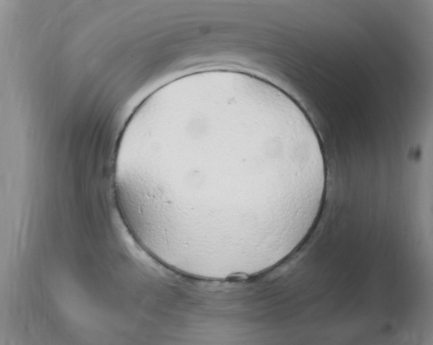 X0000113961534200910232018