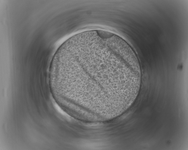 X0000113961535200910232018