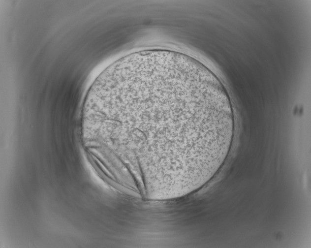 X0000113961536200910232018