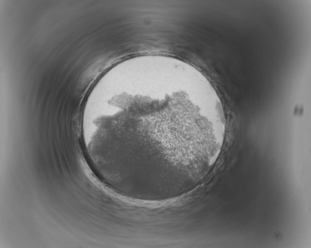 X0000113960002200911061336