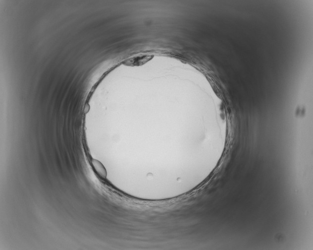 X0000113960003200911061336