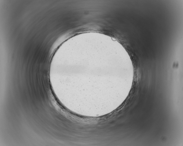 X0000113960004200911061336