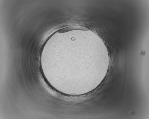 X0000113960005200911061336
