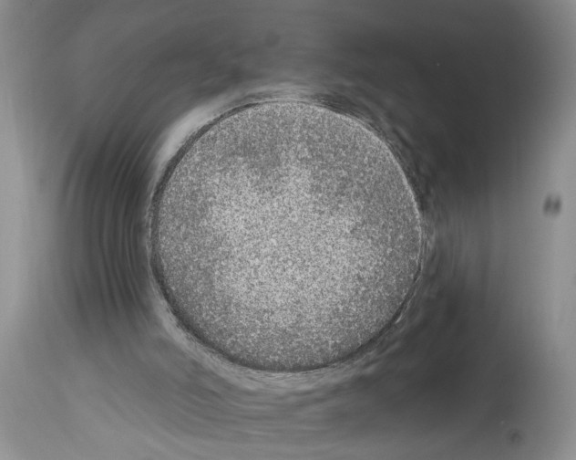 X0000113960006200911061336