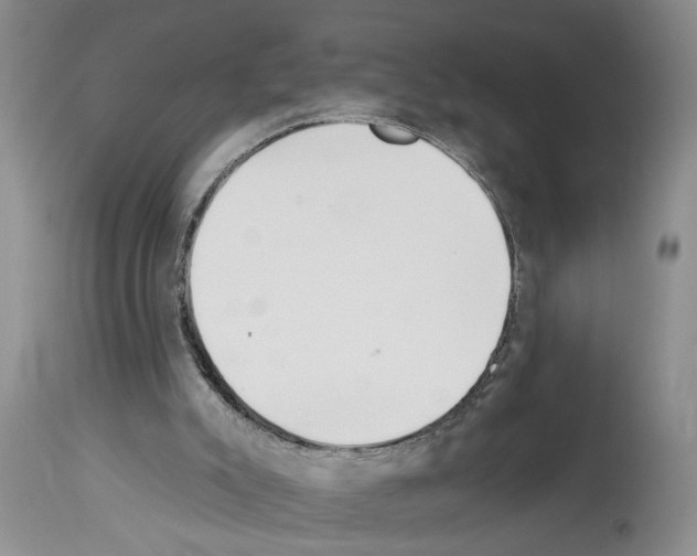X0000113960007200911061336