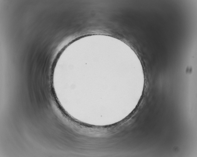 X0000113960008200911061336
