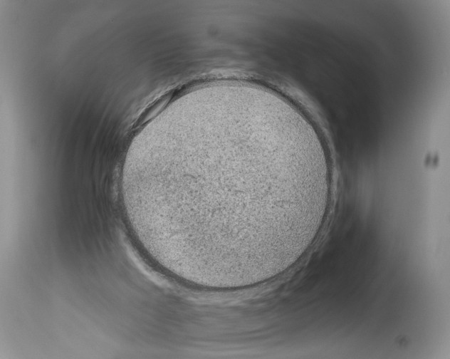 X0000113960009200911061336
