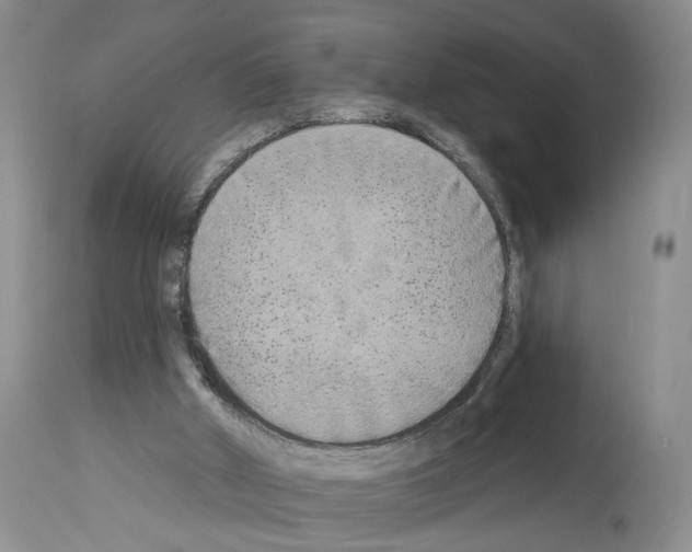 X0000113960010200911061336
