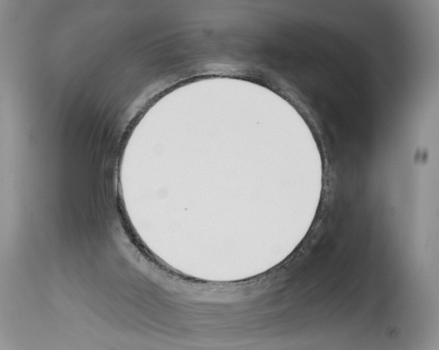 X0000113960011200911061336