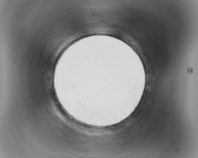 X0000113960012200911061336