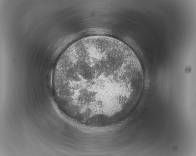 X0000113960014200911061336