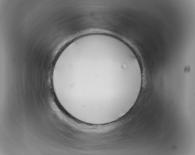 X0000113960015200911061336