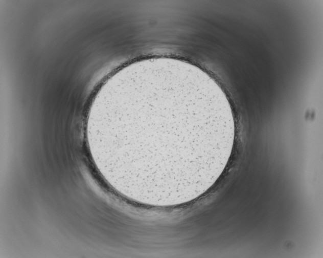 X0000113960016200911061335
