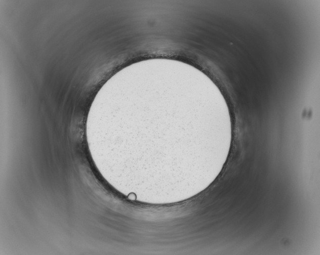 X0000113960017200911061335