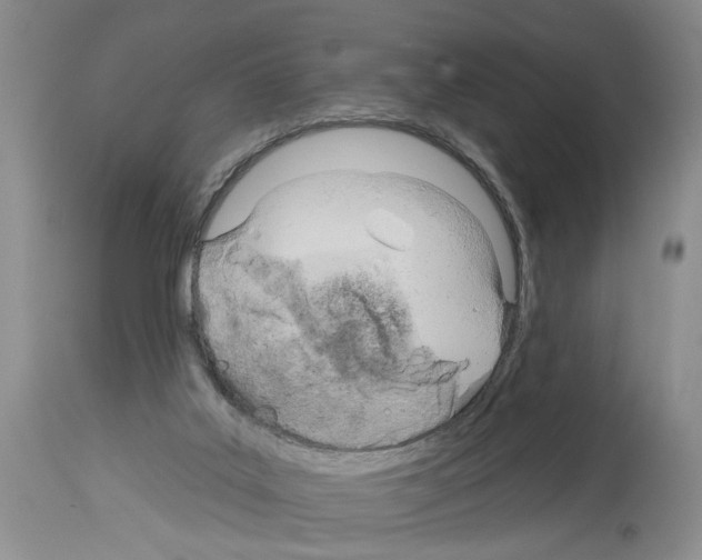X0000113960019200911061335