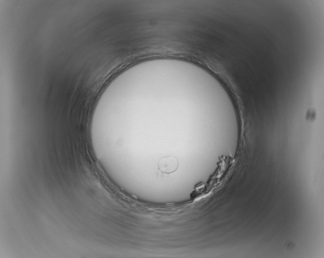 X0000113960021200911061335