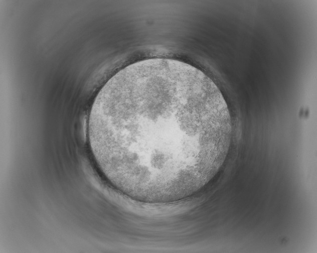 X0000113960022200911061335