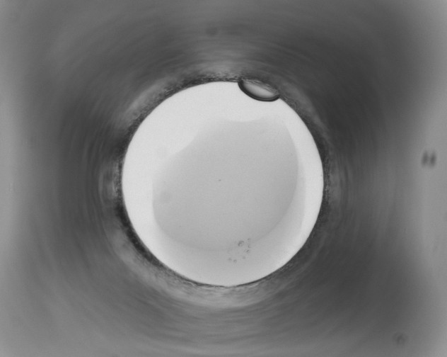 X0000113960023200911061335
