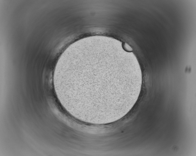 X0000113960024200911061335