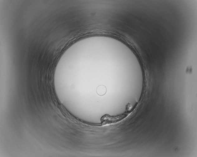 X0000113960025200911061335