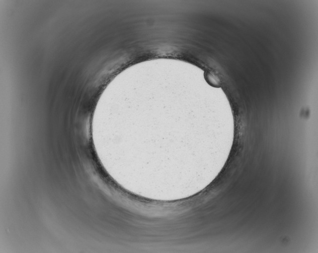 X0000113960028200911061335