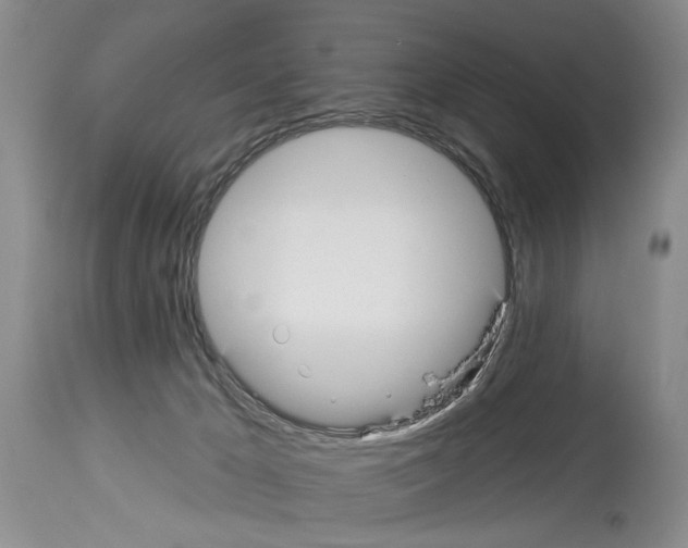 X0000113960029200911061335