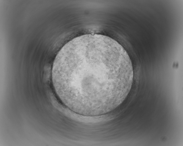 X0000113960030200911061335