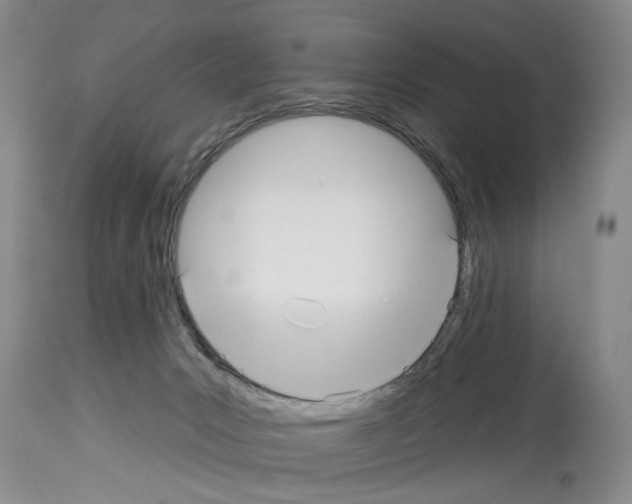 X0000113960031200911061335
