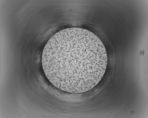 X0000113960032200911061335