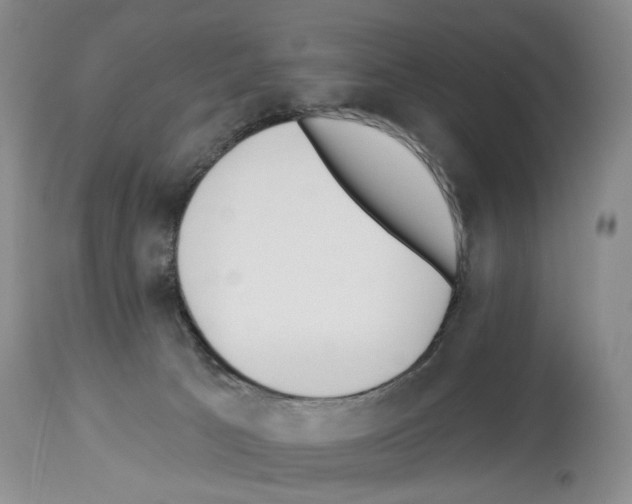 X0000113960033200911061335