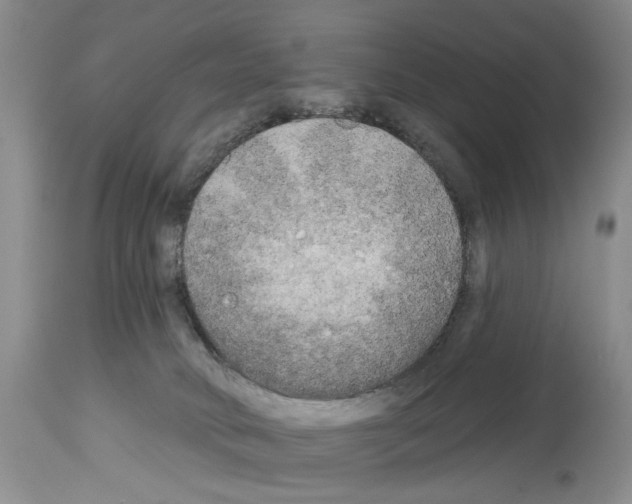 X0000113960034200911061335
