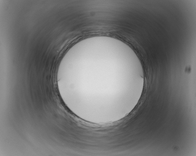 X0000113960035200911061335