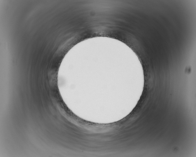 X0000113960036200911061335