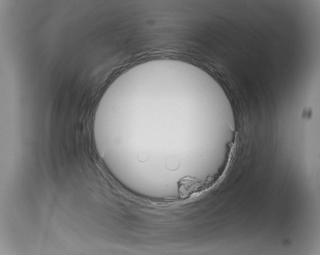 X0000113960037200911061335
