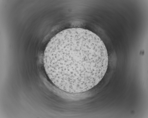 X0000113960038200911061335