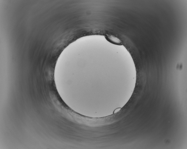 X0000113960039200911061335