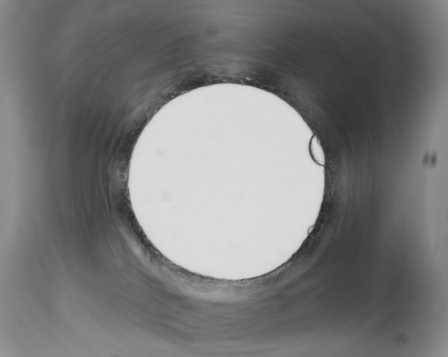 X0000113960040200911061335