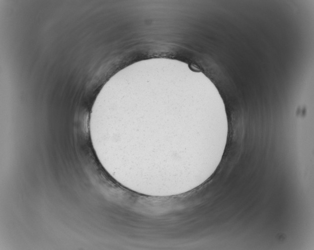 X0000113960041200911061335
