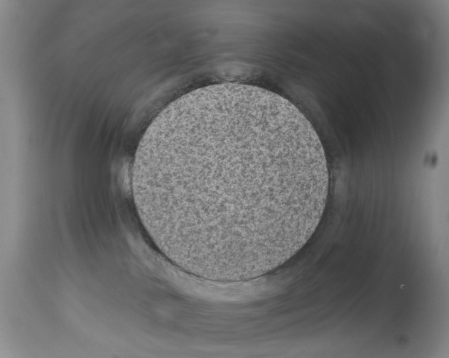 X0000113960042200911061335