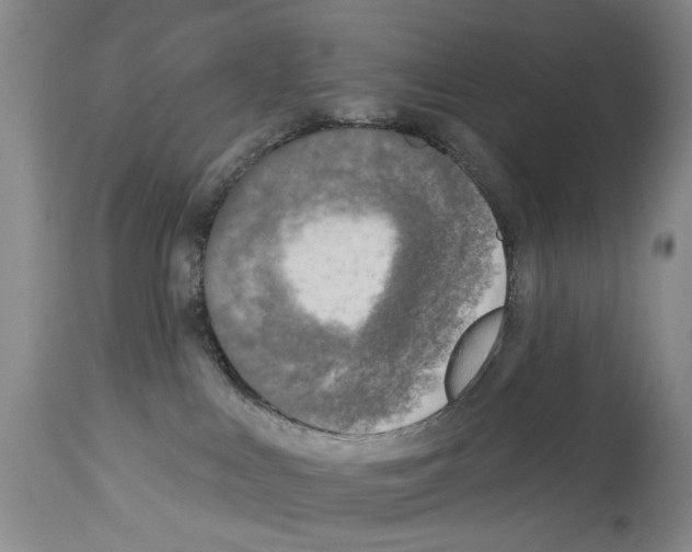 X0000113960043200911061335