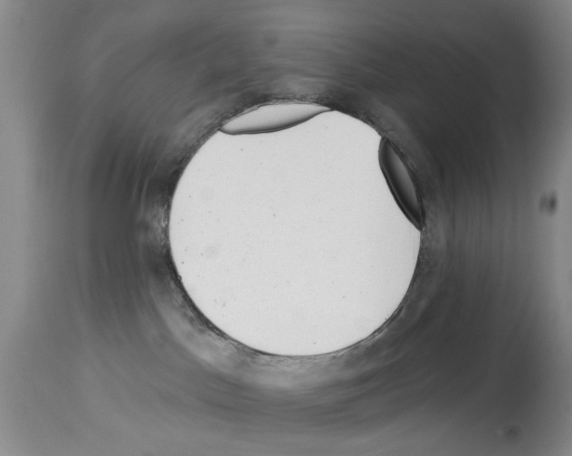 X0000113960045200911061335