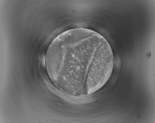 X0000113960046200911061335