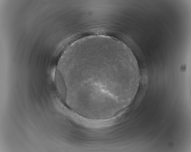X0000113960047200911061335