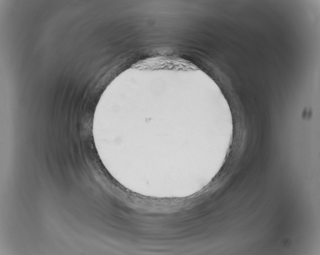 X0000113960048200911061335