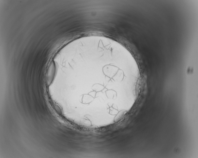 X0000113960049200911061334