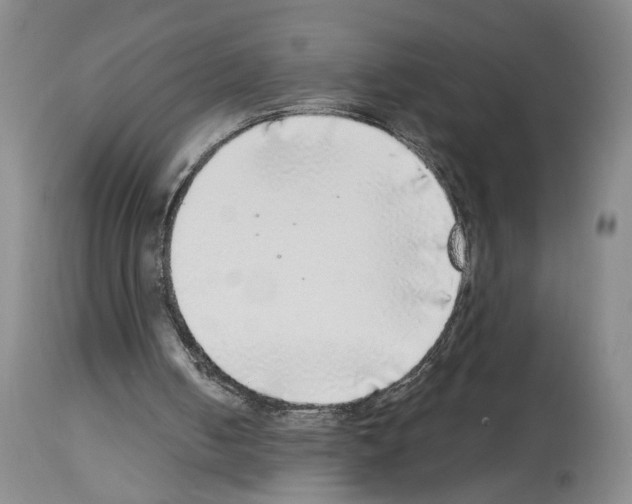 X0000113960050200911061334